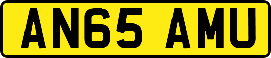 AN65AMU