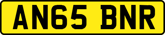 AN65BNR