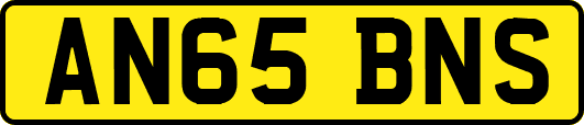 AN65BNS
