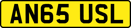 AN65USL