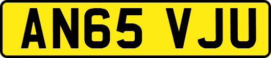 AN65VJU
