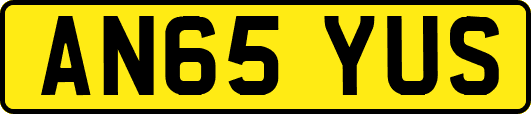 AN65YUS