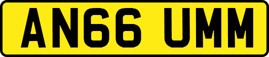 AN66UMM