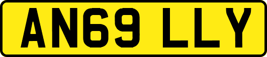 AN69LLY