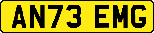 AN73EMG