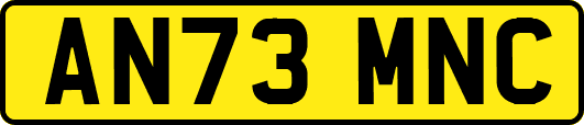 AN73MNC