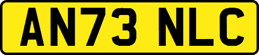 AN73NLC