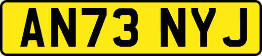 AN73NYJ