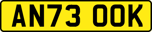 AN73OOK