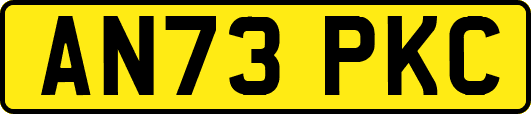 AN73PKC