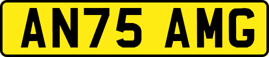 AN75AMG
