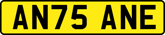 AN75ANE
