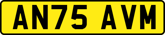 AN75AVM