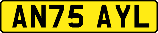 AN75AYL