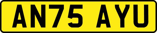AN75AYU