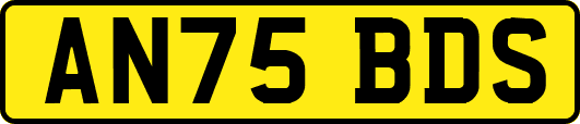 AN75BDS