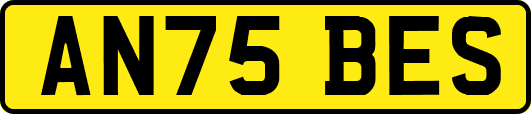 AN75BES