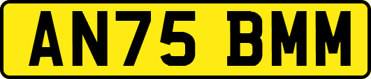 AN75BMM