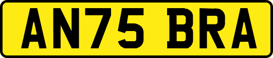 AN75BRA