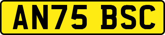 AN75BSC