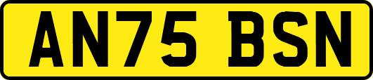 AN75BSN