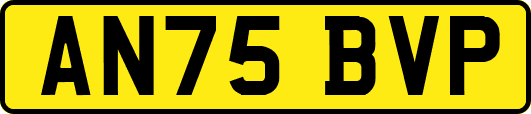 AN75BVP