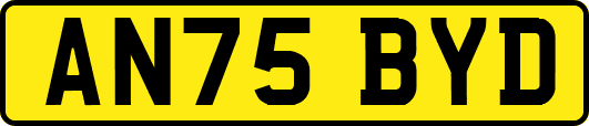 AN75BYD