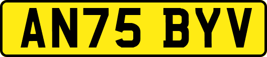AN75BYV