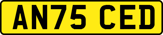 AN75CED