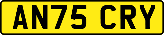 AN75CRY