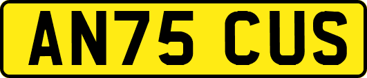 AN75CUS