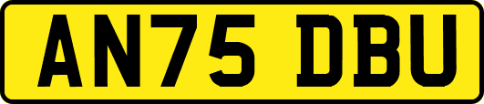 AN75DBU