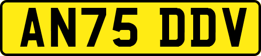 AN75DDV