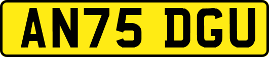 AN75DGU