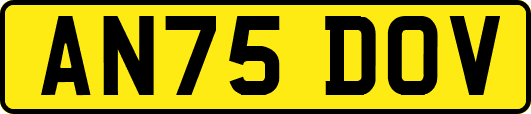 AN75DOV