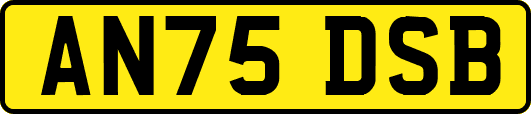 AN75DSB