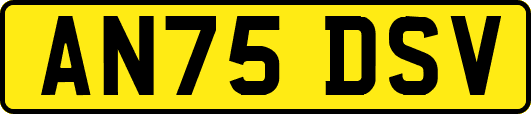AN75DSV