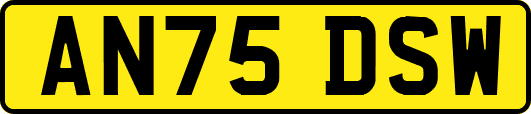 AN75DSW