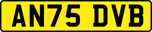 AN75DVB
