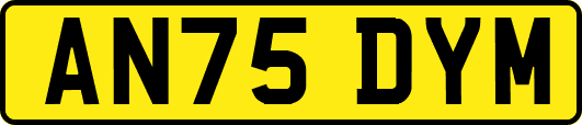 AN75DYM