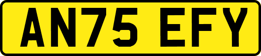 AN75EFY