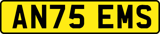 AN75EMS