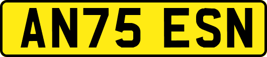 AN75ESN