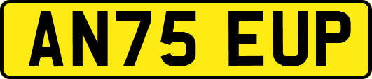 AN75EUP