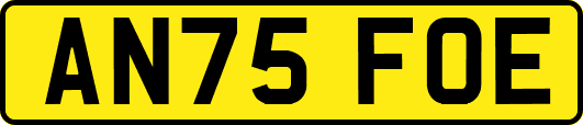 AN75FOE
