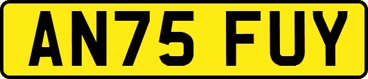 AN75FUY