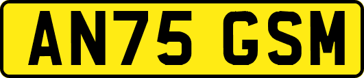 AN75GSM