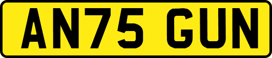 AN75GUN