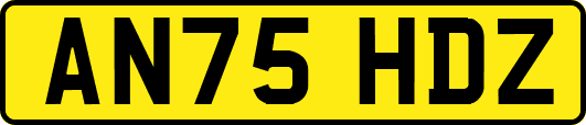 AN75HDZ
