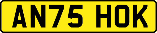 AN75HOK